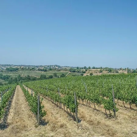 Appartamento Three-bedroom In
